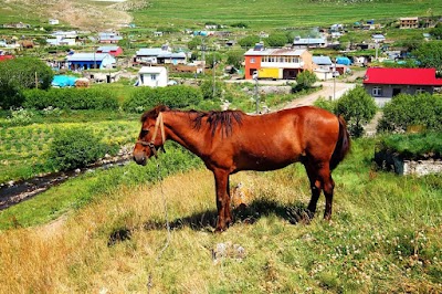 Oburcak Ilkogretim Okulu