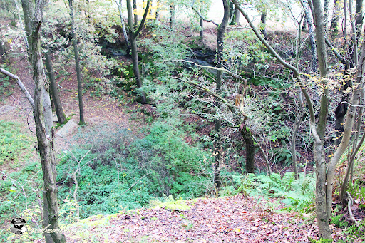 Silbersee / ehem. Steinbrüche - Thumbnail