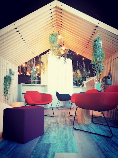 IN'FLOR - Location de plantes, paysagiste d'intérieur
