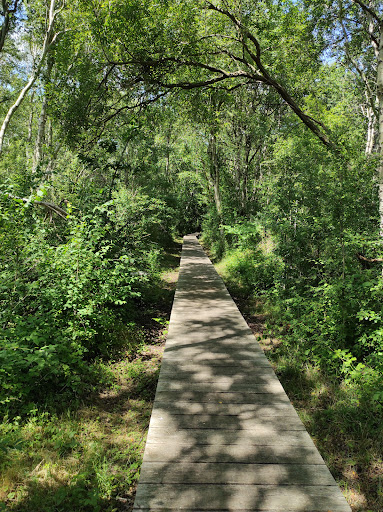 Sentier des Fauvettes