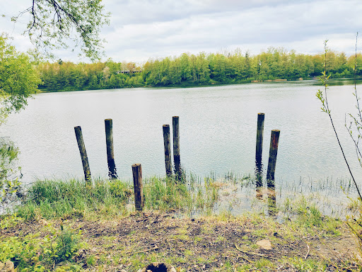 Frielendorf Freizeit Park