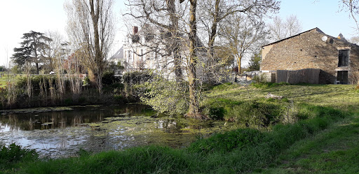 Photo de L'Aubinoise Chambres d'hôtes à Saint-Aubin-de-Luigné (49190)
