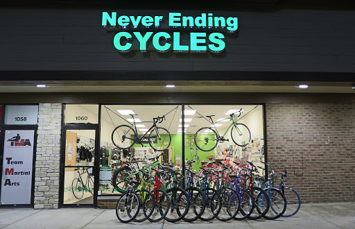 Never Ending Cycles - Visual