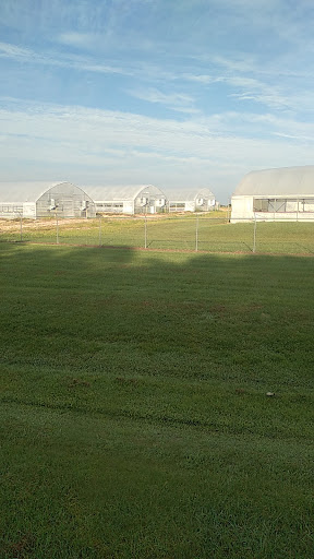 Patrick Farms - Visual
