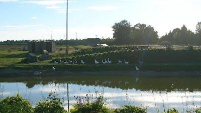 Photos of Trusu pilsetina