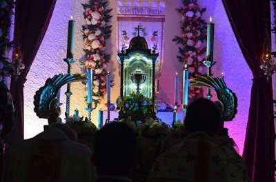 Photos of Parroquia Santo Domingo Savio