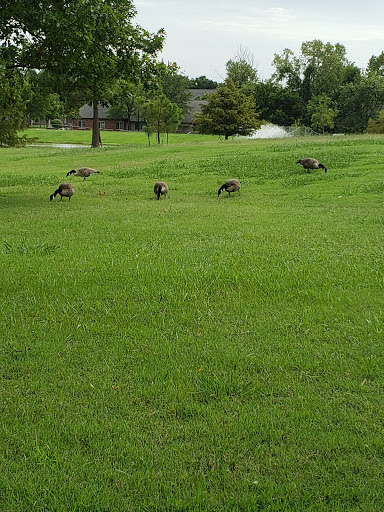 Leake Park - Visual