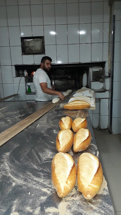 ERGENLER ODUN EKMEĞI TOPTAN GIDA