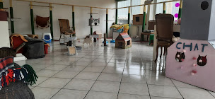 Photo n°1 de Association Targa Verdun Meuse à Verdun (Association pour la protection des animaux)