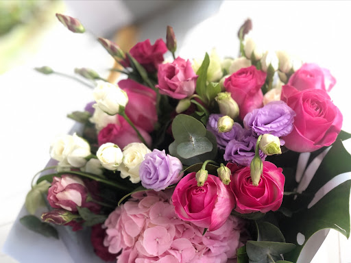 Eflora - Visual