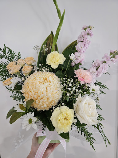 This'll Do Nicely - Florist, Indoor Plants & Gift Shop Tweed Heads Gallery - Australia