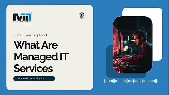 Mississauga IT Company