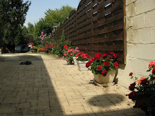 Photo n°9 de Chambres d'hôtes Pré des Sèves: location route des Vins de la Loire près de Bourges dans le Cher à Menetou-Salon (Agence de location immobilière)