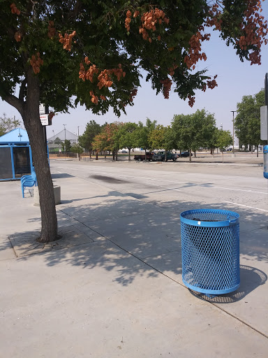 Owen Memorial Park