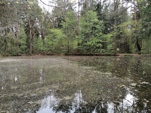 Lämmerbrunnen