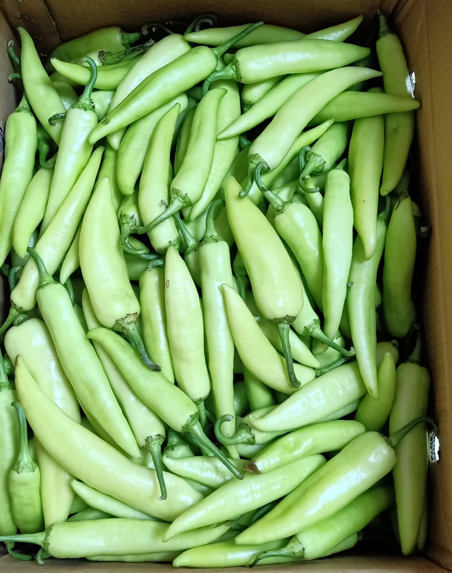 Al Qawarir Supermarket - صورة 3