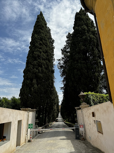 NYU Florence - Visual