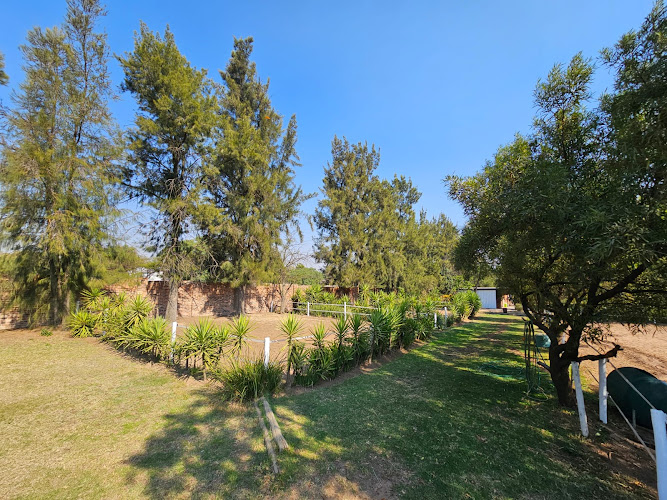 Reign Equestrian Centre