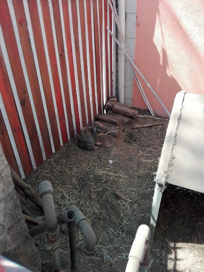Photos of Pet Store