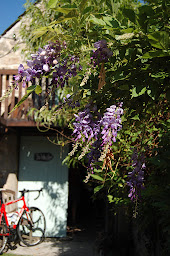 Photo n°28 de Corrèze Cycling Holidays à Espagnac (Cyclisme sur route)