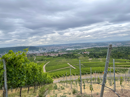 Weingut Rienth - Thumbnail