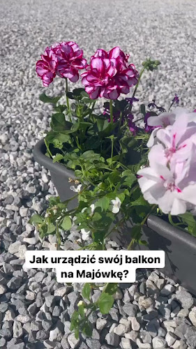 Centrum Ogrodnicze GREEN VIEW