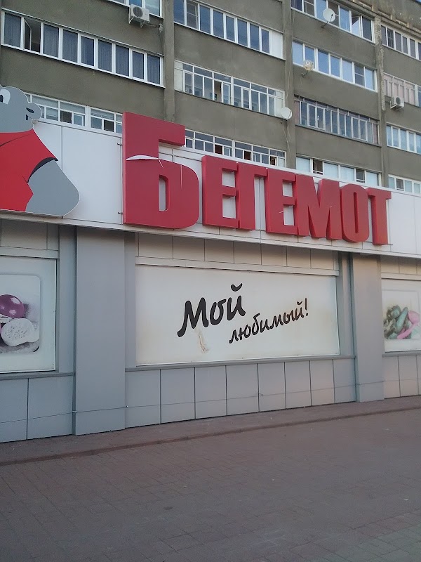 Сеть Магазинов Бегемот Тамбов Официальный Сайт