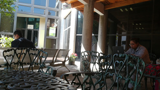 Biblioteca Texcoco - Thumbnail