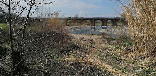 Parco Lungo Reno Est
