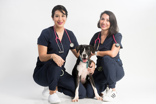 2Vet Centro Veterinario