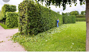 Photo n°20 de Mr Steven Élagueur de l'extrême à Razac-sur-l'Isle (Service d'élagage)