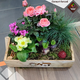 Photo n°32 de Carrément Fleurs - Fleuriste Clermont-Ferrand 63 - Livraison de fleurs à à Clermont-Ferrand (Fleuriste)