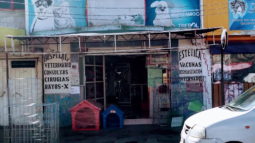 Veterinaria El Trébol