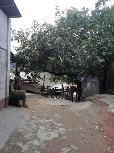 Photos of Jalirpar Feri Ghat, South Side