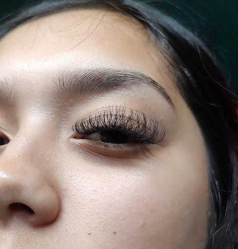DAlashesbrows - Visual