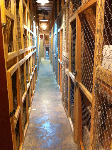 Cellar Masters - Visual