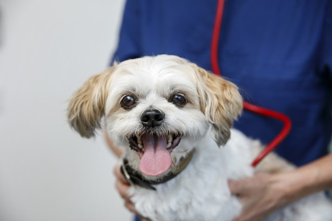 Opinii despre Helsingør Dyrehospital în Helsingør - Dyrlæge