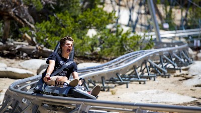 Ridge Rider Mountain Coaster