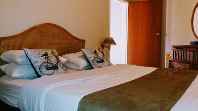 Photos of Magoebaskloof Mountain Lodge