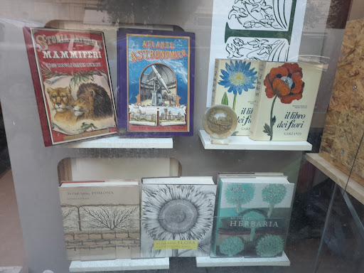 Libreria Lilli - Visual