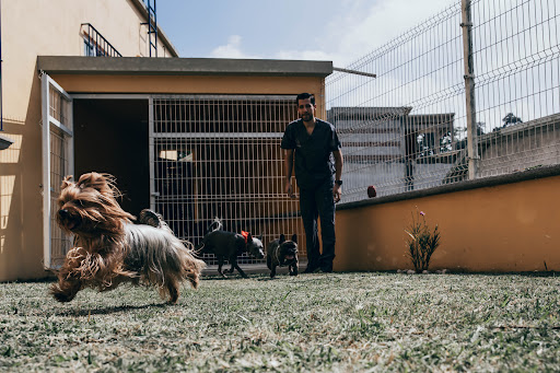 Centro Veterinario San Jerónimo