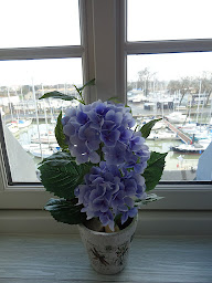 Photo n°7 de rochefort no name à Rochefort (Logement meublé)