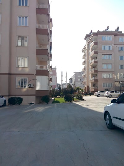 Photos of Hz.Hamza Camii