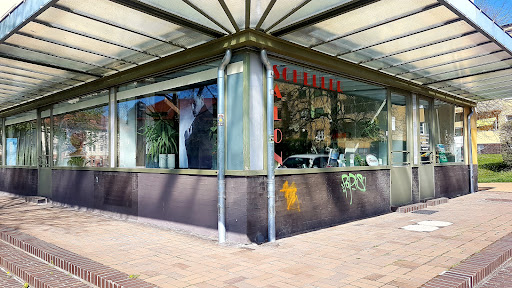 Salon Scheller - Visual