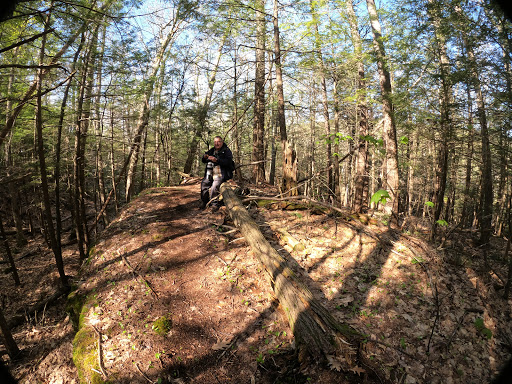 Catamount State Forest - Visual