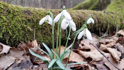 Photos of Stagno del Percedol