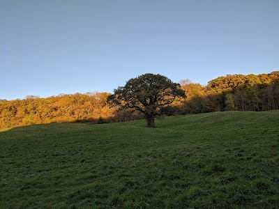 Shady Lane Ranch, Inc.