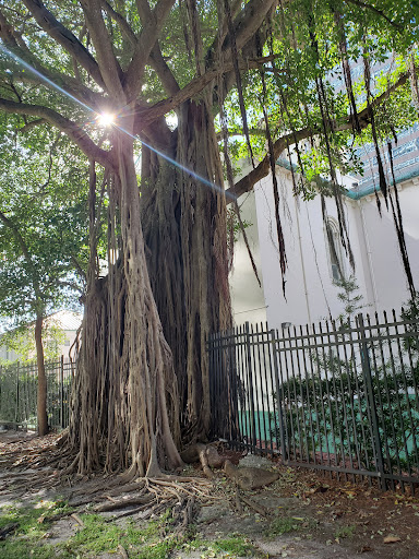 Brickell Park - Visual