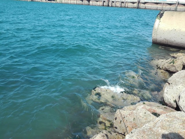 Cherbourg Ferry Terminal