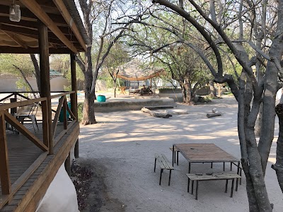 Photos of Bush Baby Bar